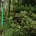 DSCF0050