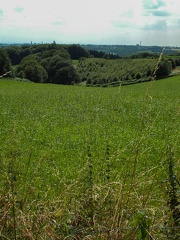 DSCF0089
