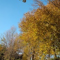 DSCF0372