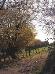 DSCF0378