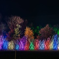 »Herbstleuchten« im Maximilianpark Hamm