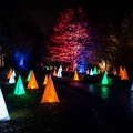 »Herbstleuchten« im Maximilianpark Hamm
