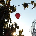 DSCF0298