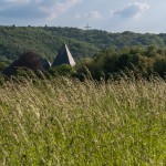 Blick über die Ruhrauen auf das Dach des Wohnturms des Herrenhauses