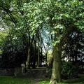 DSCF0054
