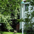 DSCF0081