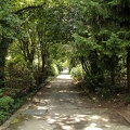 DSCF0084