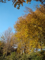 DSCF0372