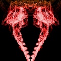 Rauch / Smoke